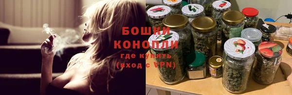 ГАЛЛЮЦИНОГЕННЫЕ ГРИБЫ Заволжье