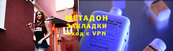 трава Ельня