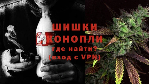 ГАЛЛЮЦИНОГЕННЫЕ ГРИБЫ Заволжье