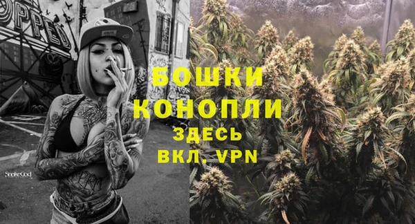 прущие крисы Заводоуковск