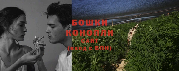 ГАЛЛЮЦИНОГЕННЫЕ ГРИБЫ Заволжье