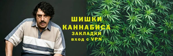 прущие крисы Заводоуковск