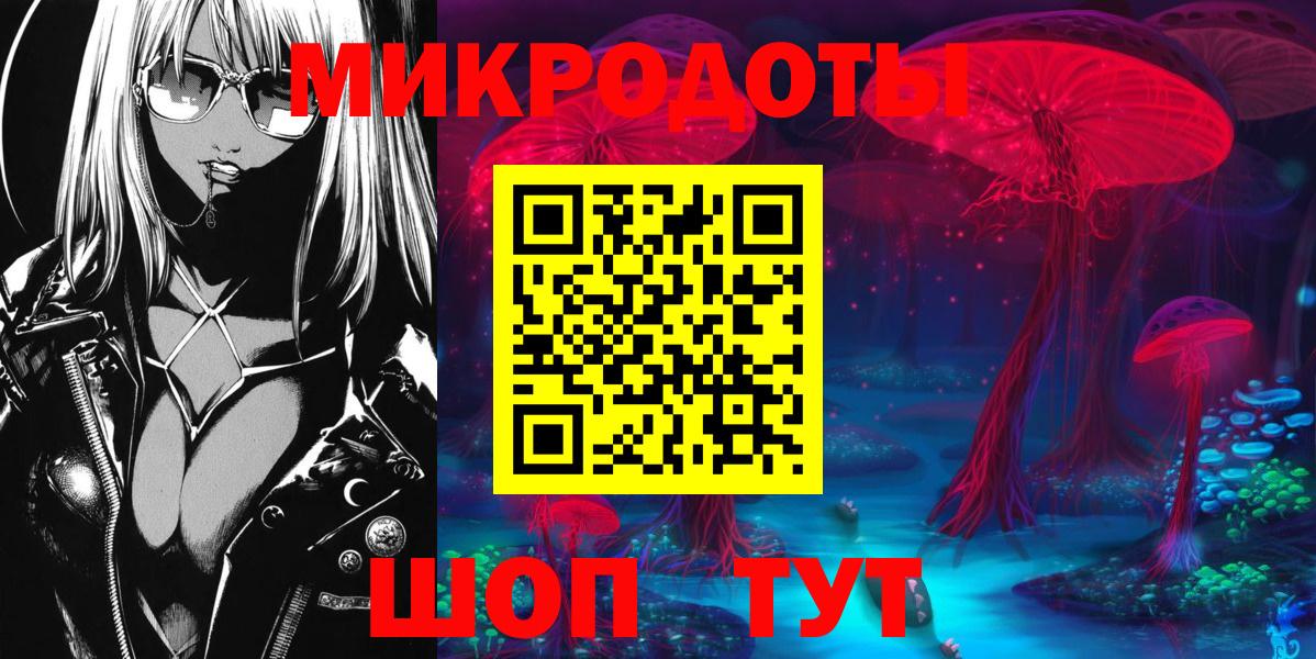 Псилоцибиновые грибы мицелий Курганинск